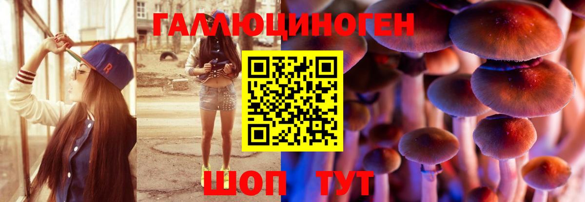 Галлюциногенные грибы Psilocybe  Вход с VPN  Юрга 